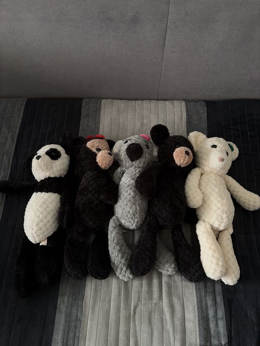 5 Urseroii din colectia Profi