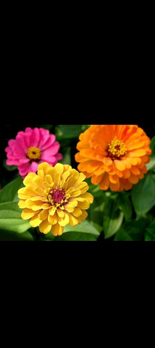 Восточный "Развилка"можно