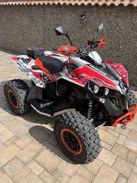 Can am renegade 1000