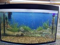 Akvarium/аквариум 100 литр