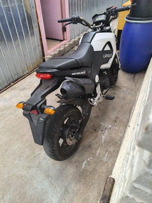 Scuter 125 urban(honda)