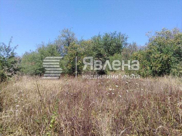 Продава се Парцел в с. Българи, Област Бургас - 825 кв.м за 31 €/кв.м - Снимка #3