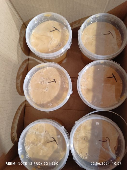 Продам мед горное разнотравье светлое