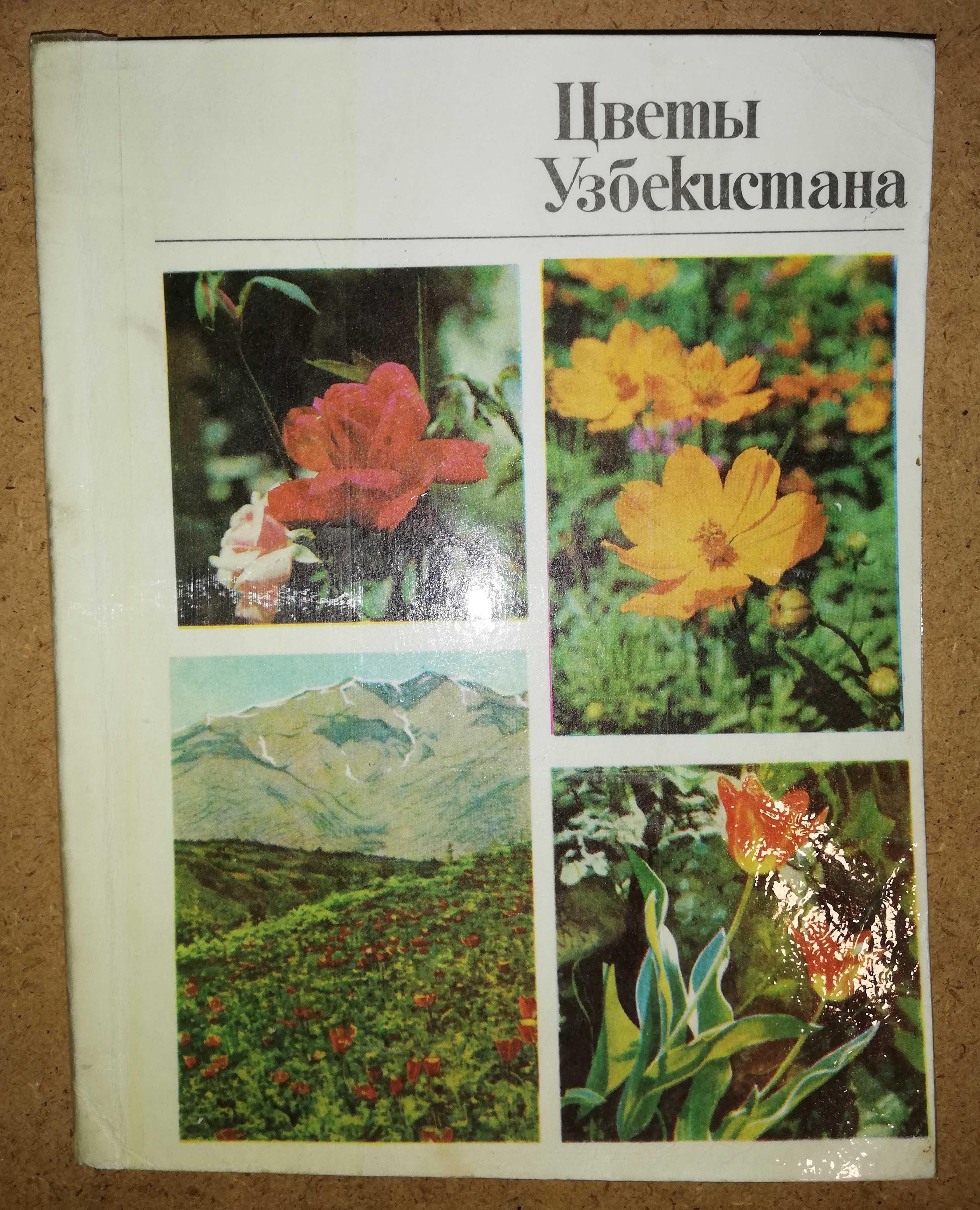 Книга ''Цветы Узбекистана''