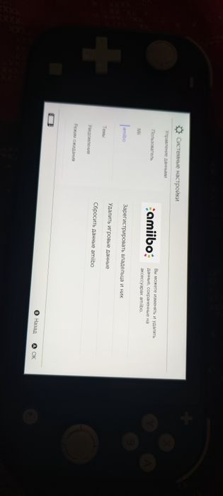 Nintendo switch lite