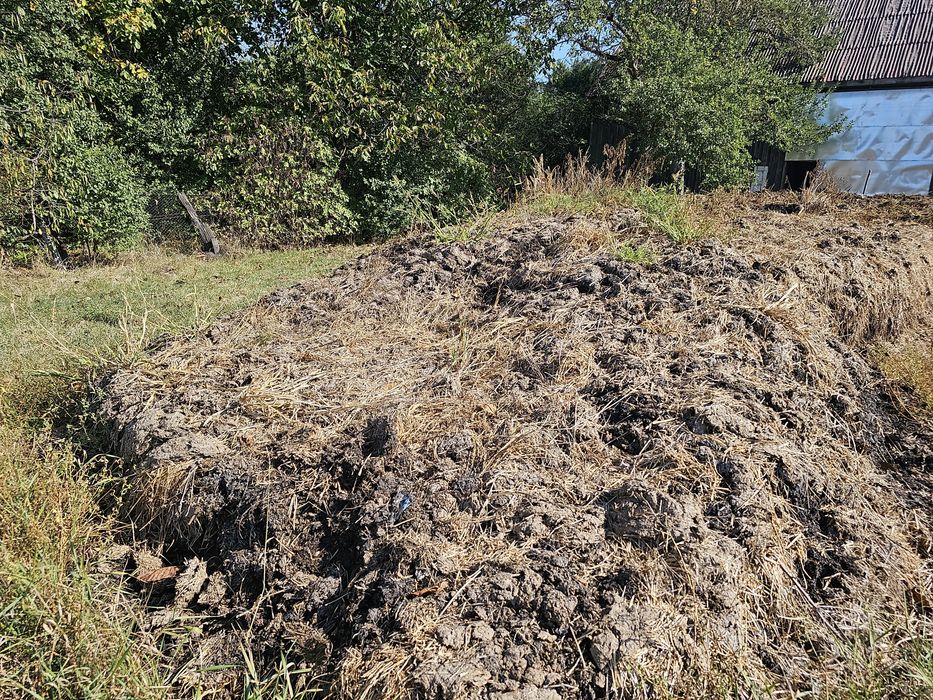 Gunoi de grajd vechi