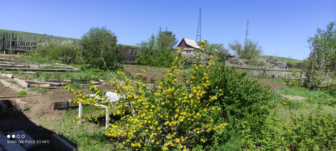 Продам дачу общество Жемчужина