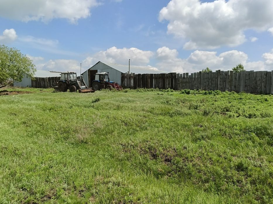 Крестьянское хозяйство