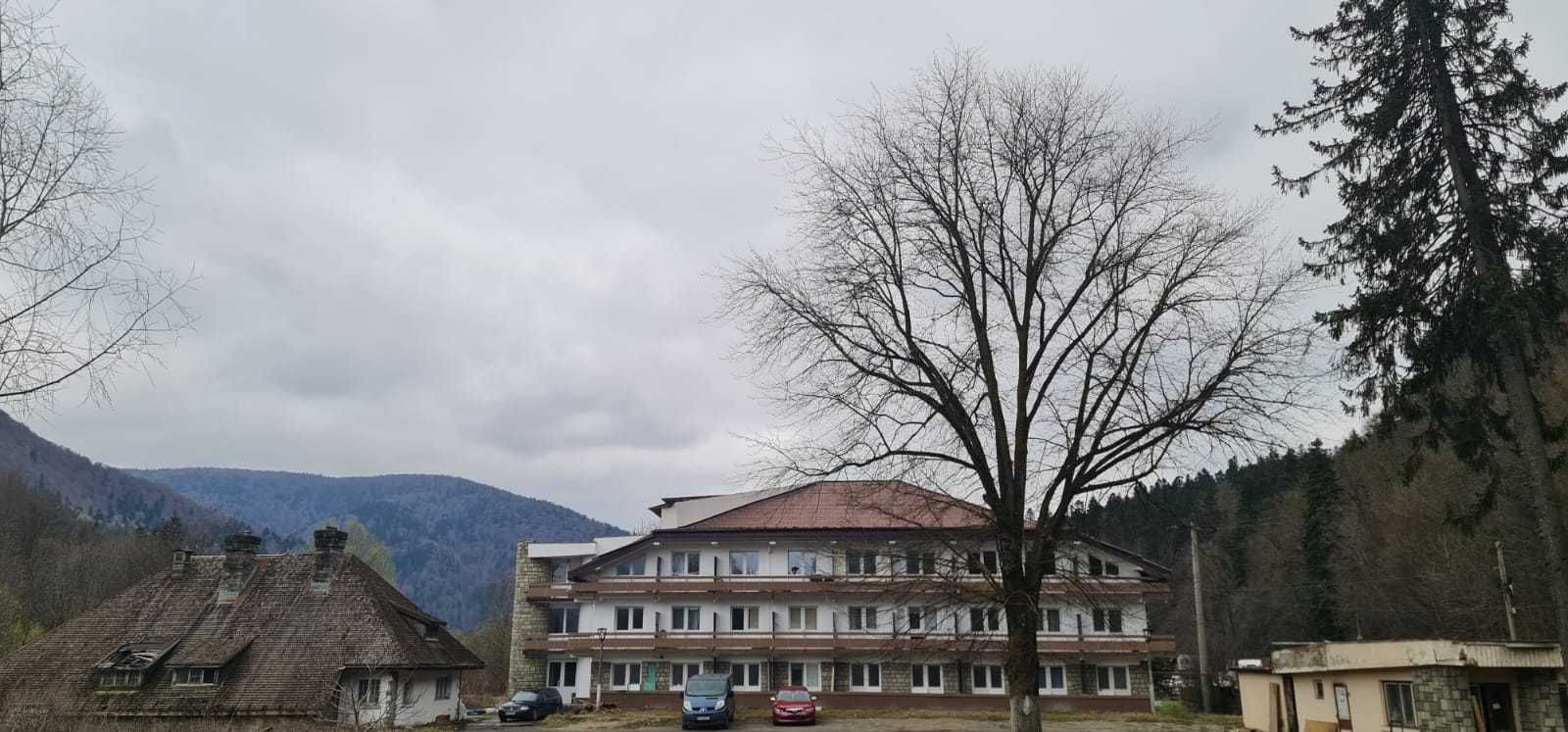 apartamente de vanzare busteni