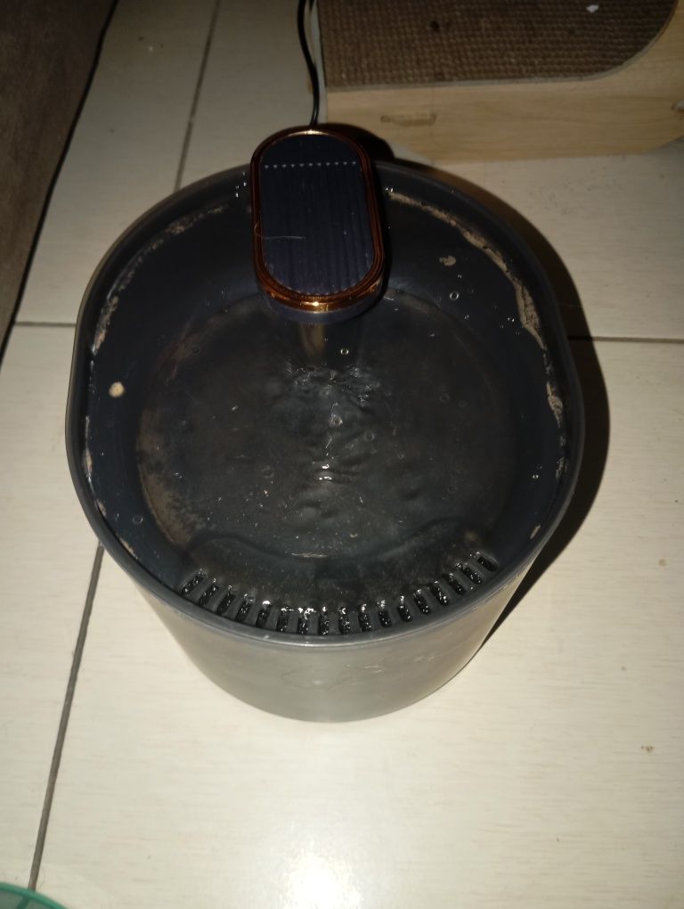 Fanta apa pisici