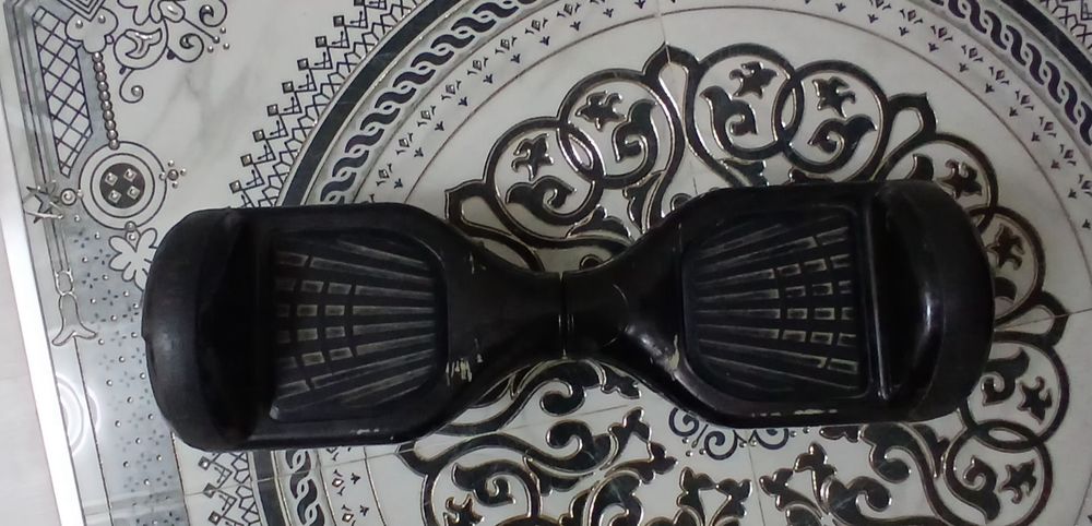 Elektor Sigway sotiladi