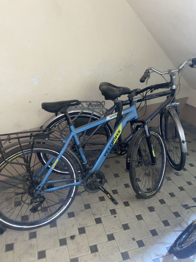 Velosiped srochno