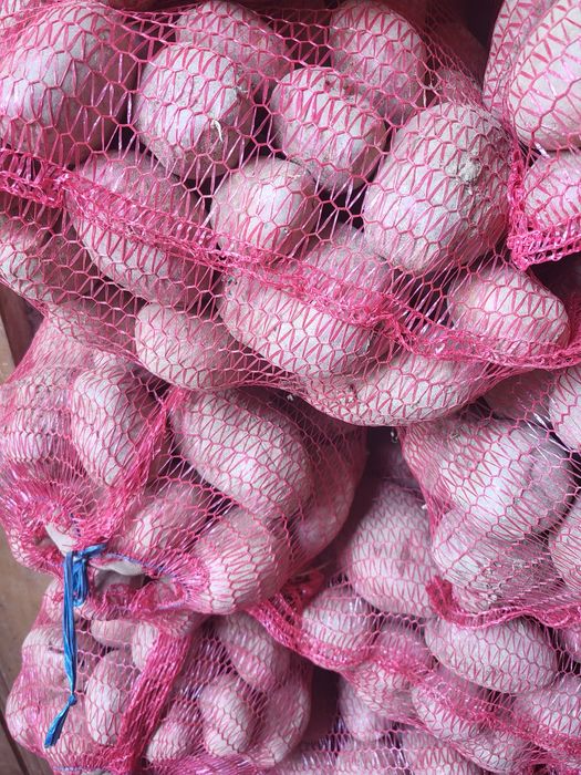 Cartofi consum rosu și alb