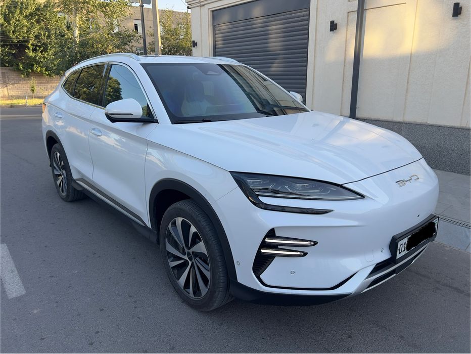 Эгасидан Byd Champion Honor  EV 605km 25900$