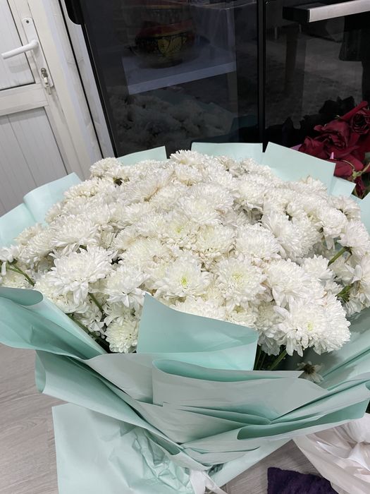 Цветы ромашка метровый