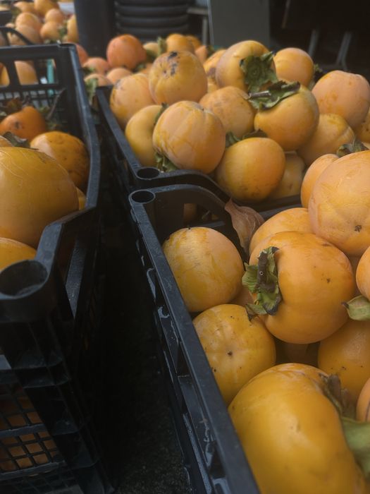 Райски ябълки – пресни и сладки! 2 лв/кг