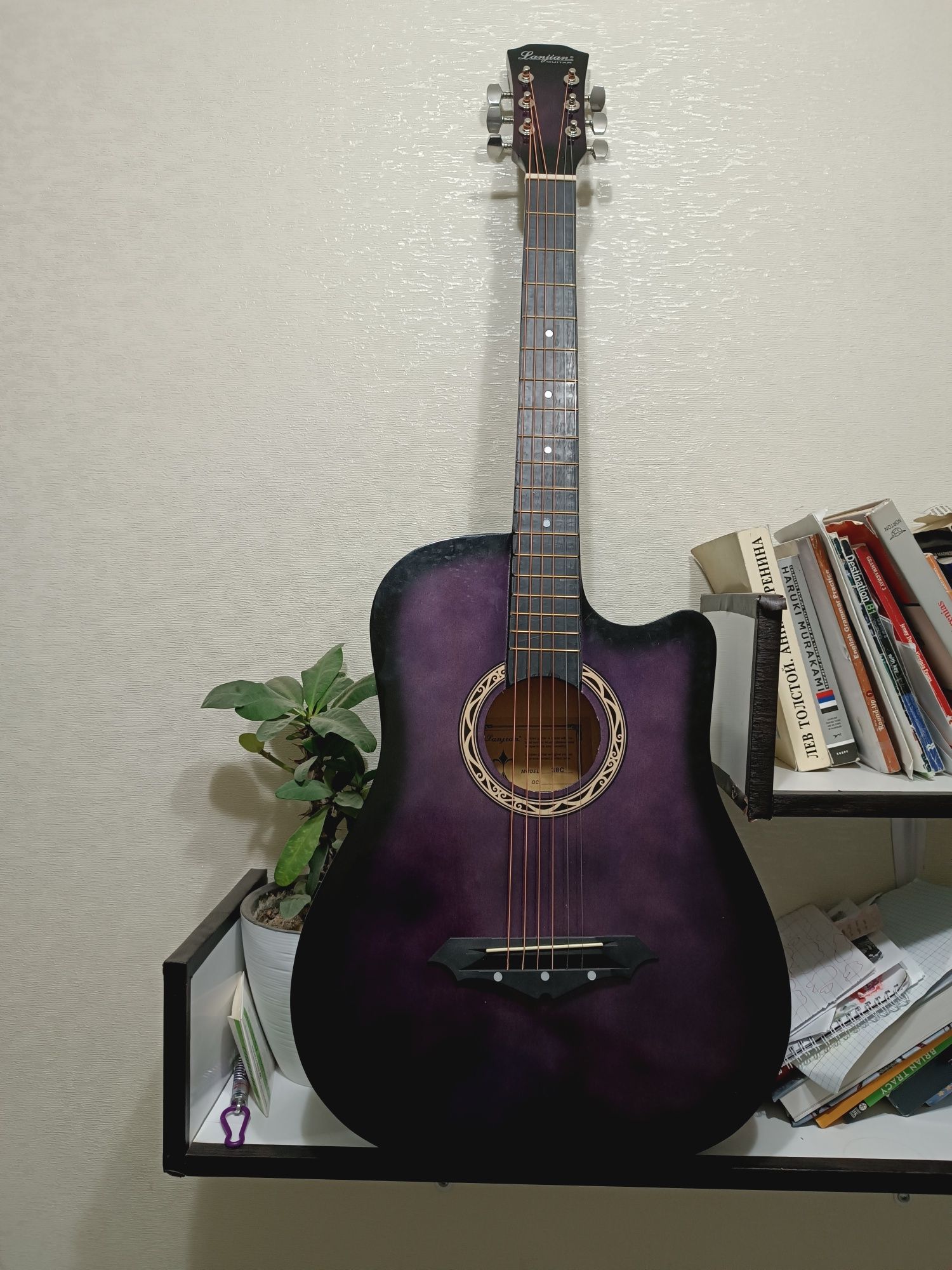 Musiqa oshiqlari uchun Gitara