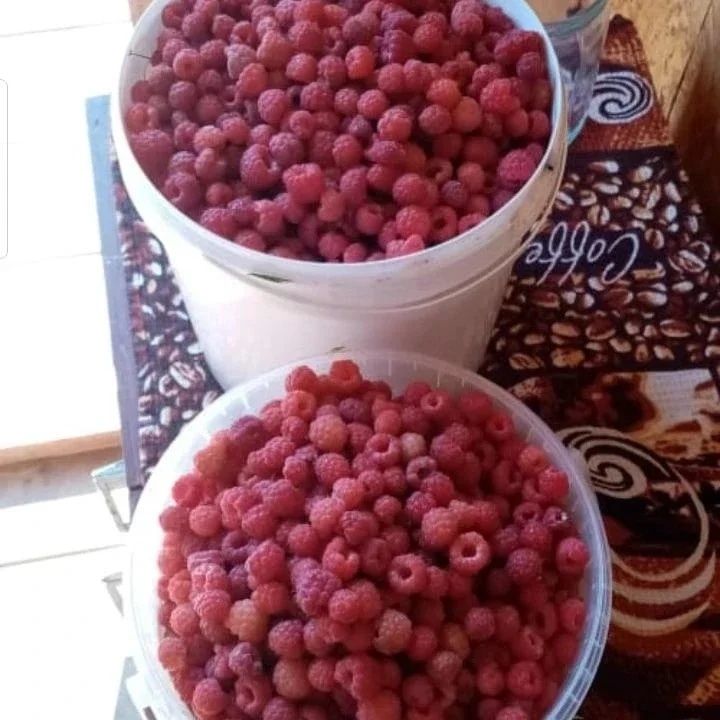 Доставка ягоды клубника малина вишня ежевика смородина облепиха клюква