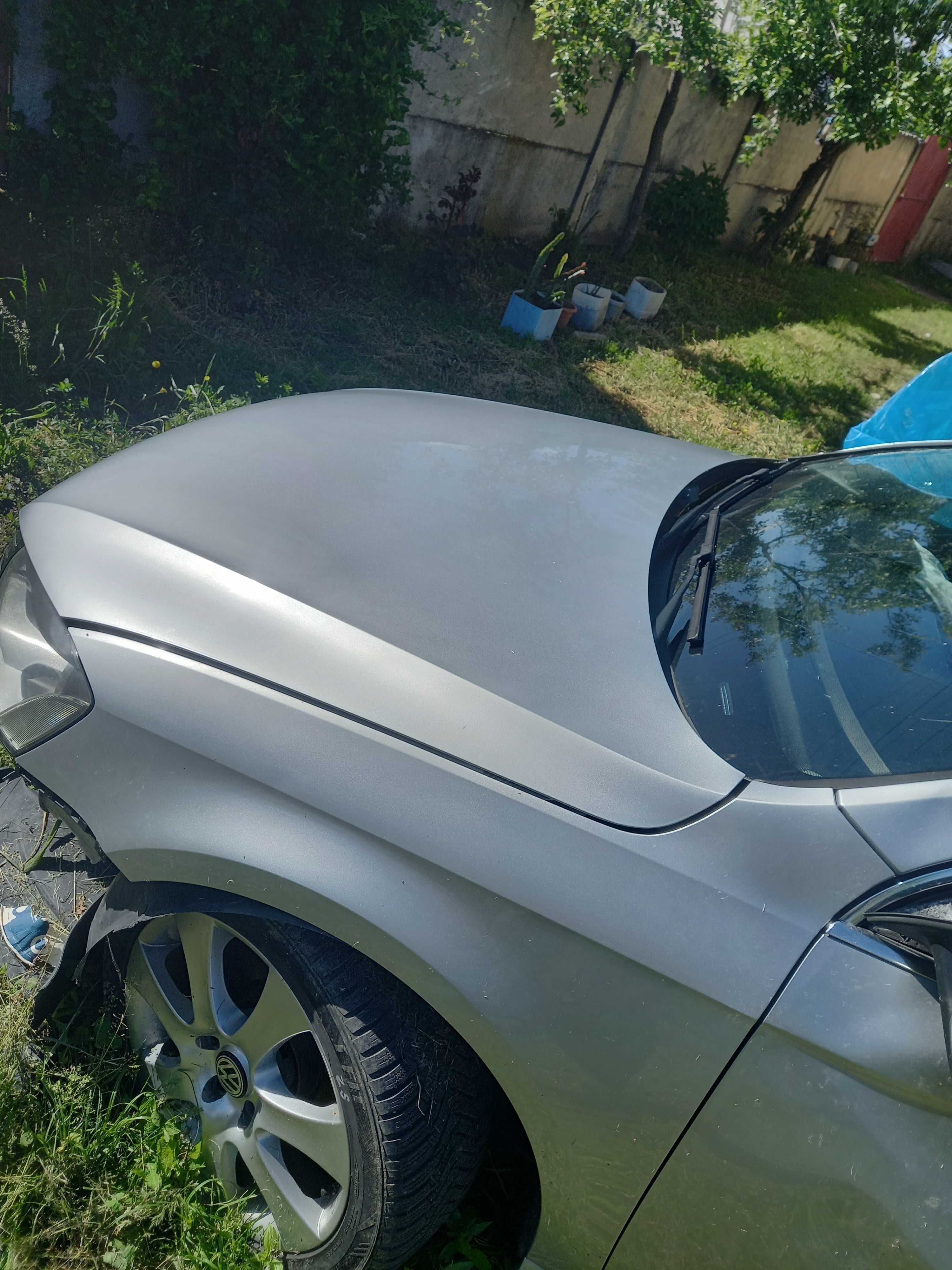 Capota passat B7