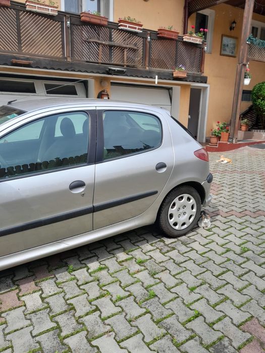 Vand Peugeot 206