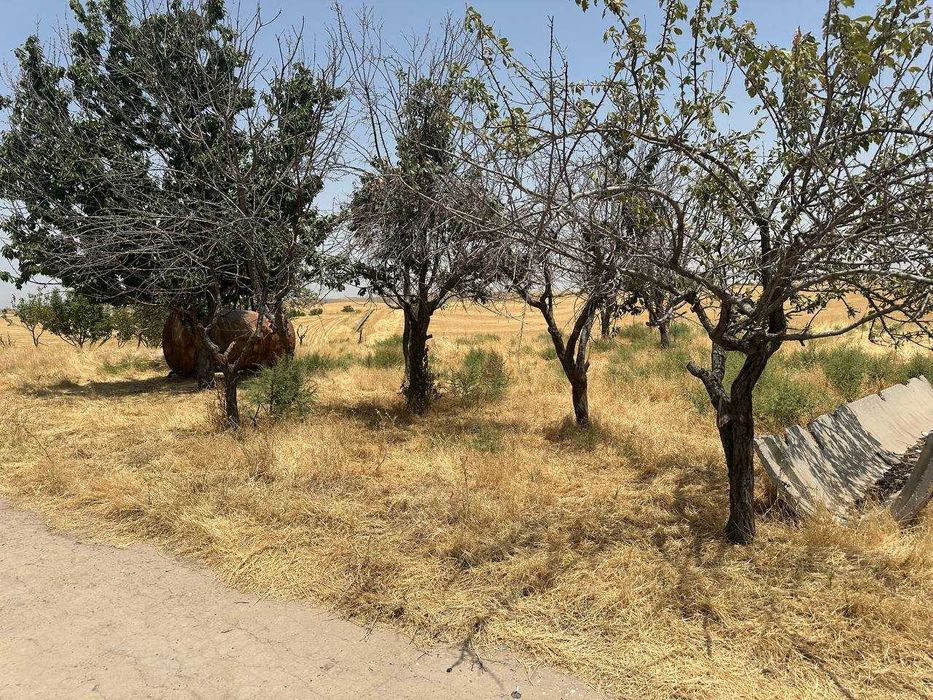 Продаётся 40 соток промышленной земли. Цена:2300 $ за соток. Торг есть