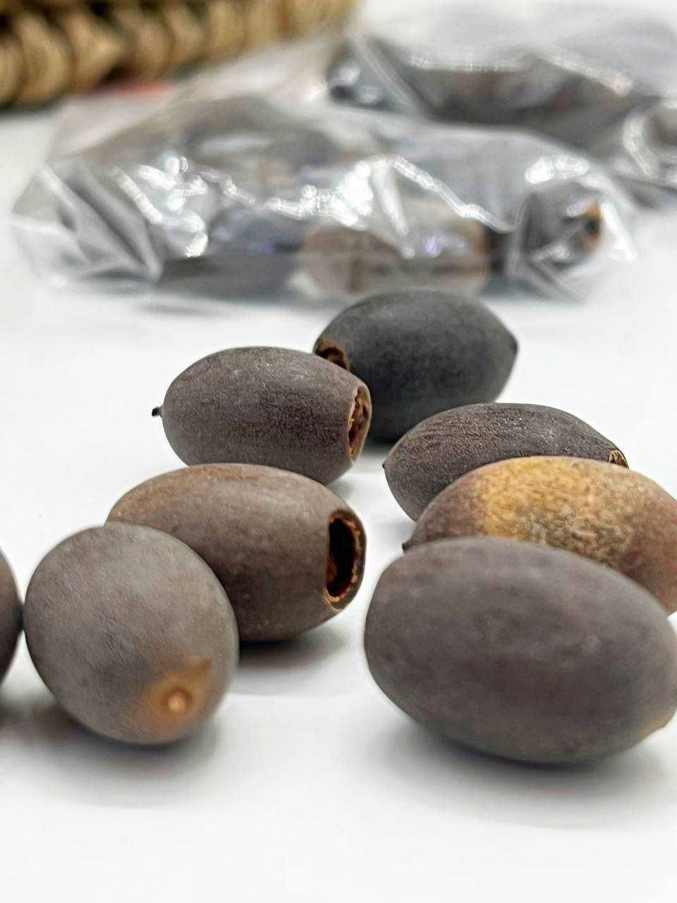 Семена лотоса (10 штук в упаковке)