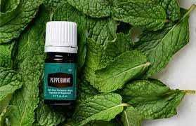 Ulei esential Peppermint - menta Young Living 5 ml