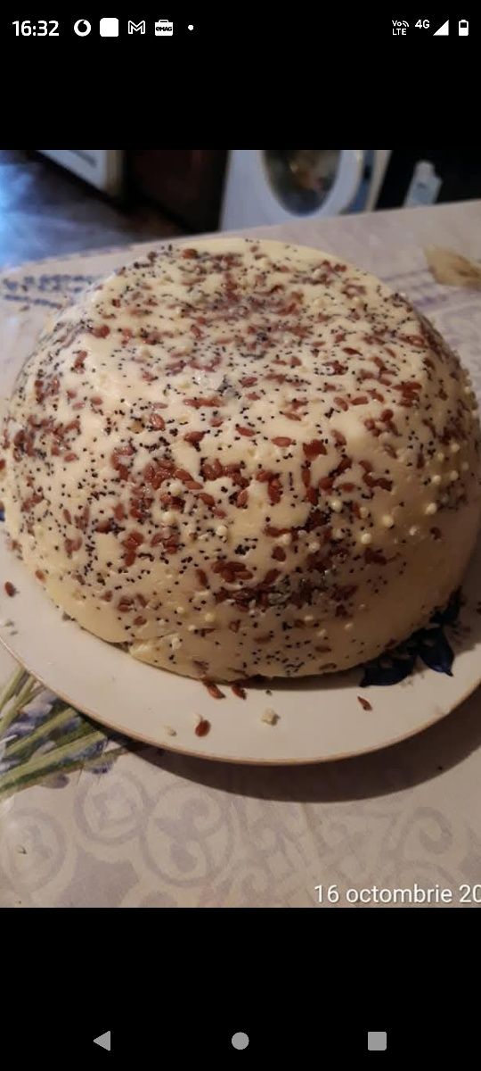 Lapte si branza de capra
