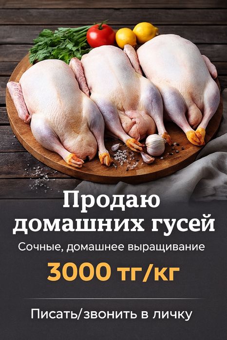 Домашние гуси  в наличий количество ограниченно халяль
