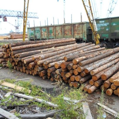 Купим кругляк,обьем