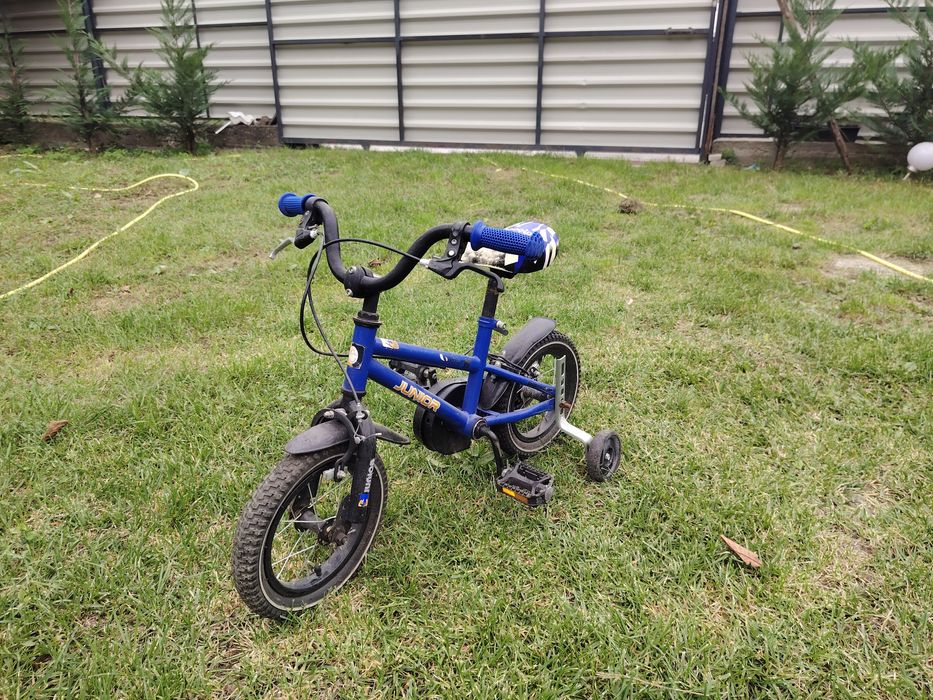 Bicicleta copii 2-4 ani