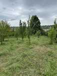 Vand teren in Baia Sprie