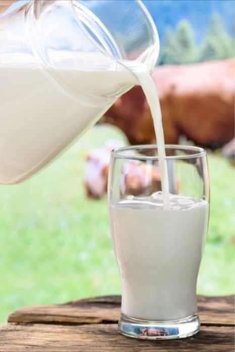 Ешкі сүті Козье молоко