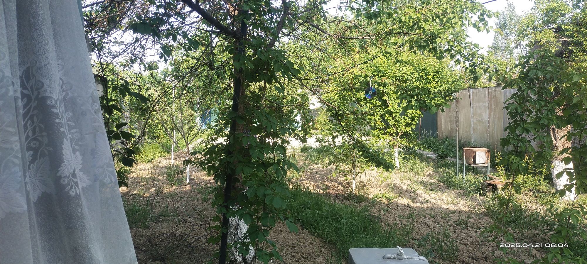 Продаю дачу в Чирчике 4 сотки