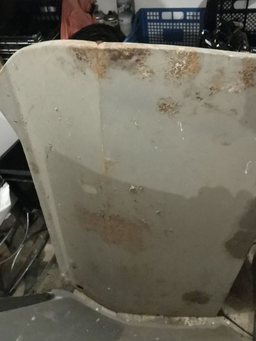 Fata de ușa Dacia 1300