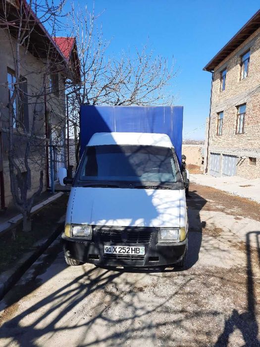 Газель яхши ҳолатда