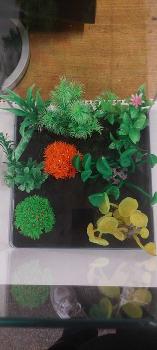 Acvariu Dennerle Nano Cube 20L complet