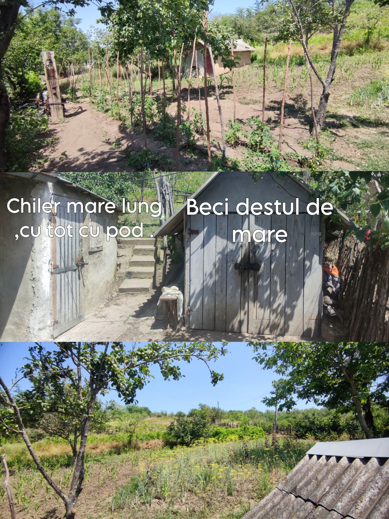Vând casă bătraneasca