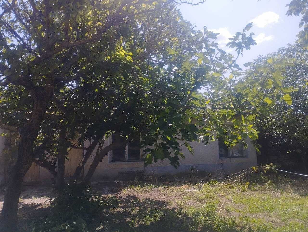 Продава се Къща в с. Българево, Област Добрич - 90 кв.м за 850 €/кв.м - Снимка #3