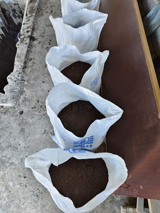 Биогумус  70 тенге за литр.