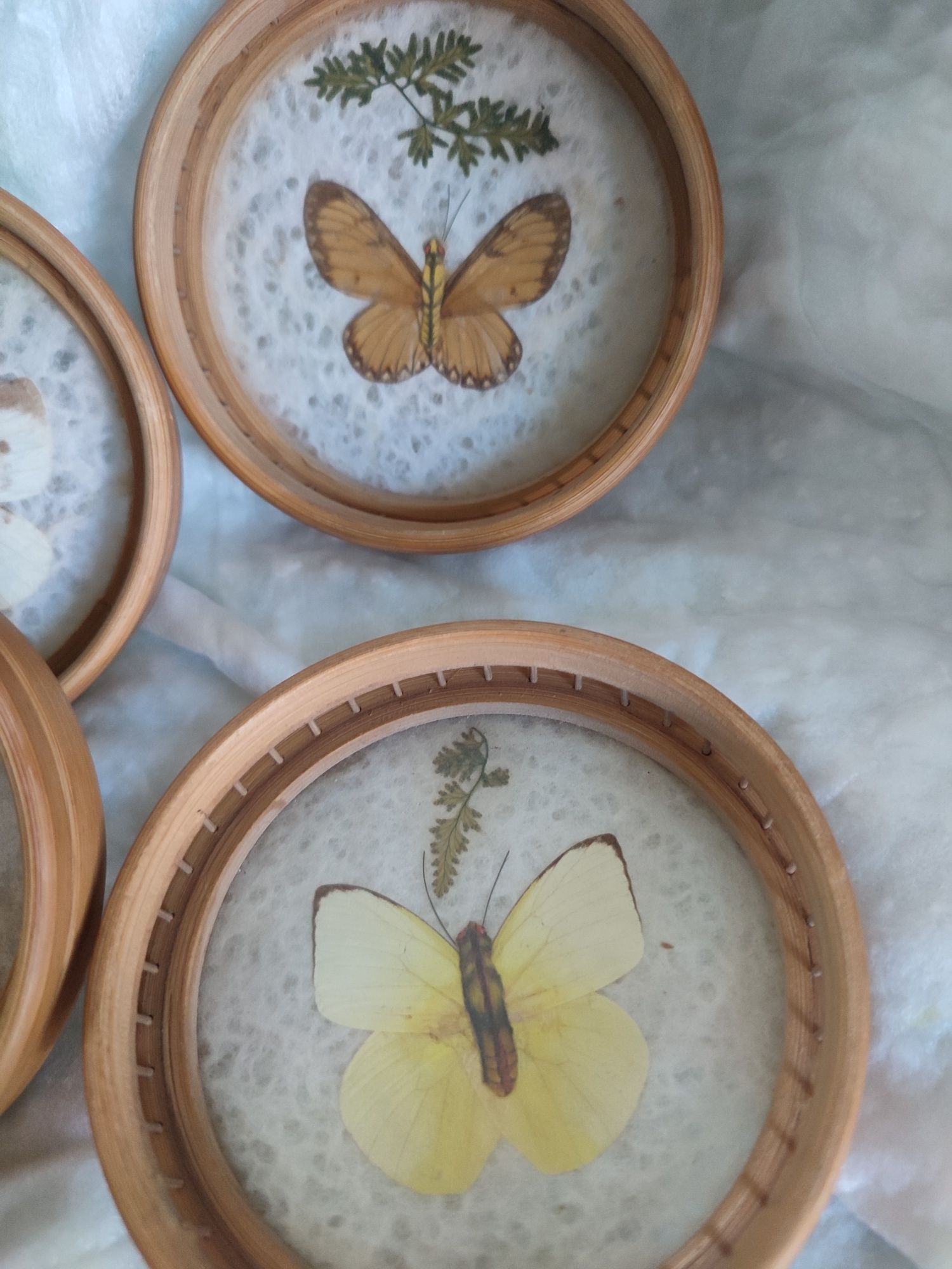 Пеперуди в рамка подложки за чаши