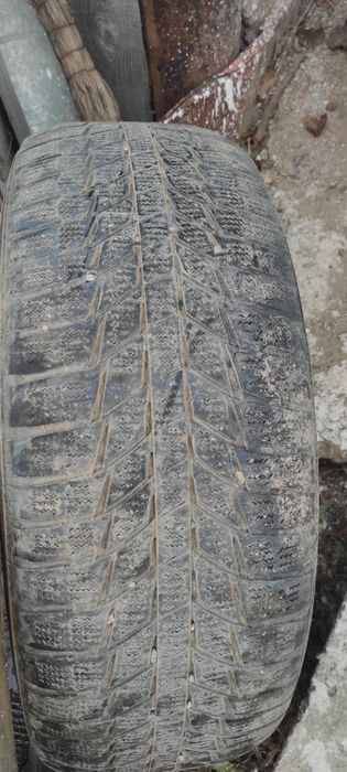 Продам шины дөңгелек