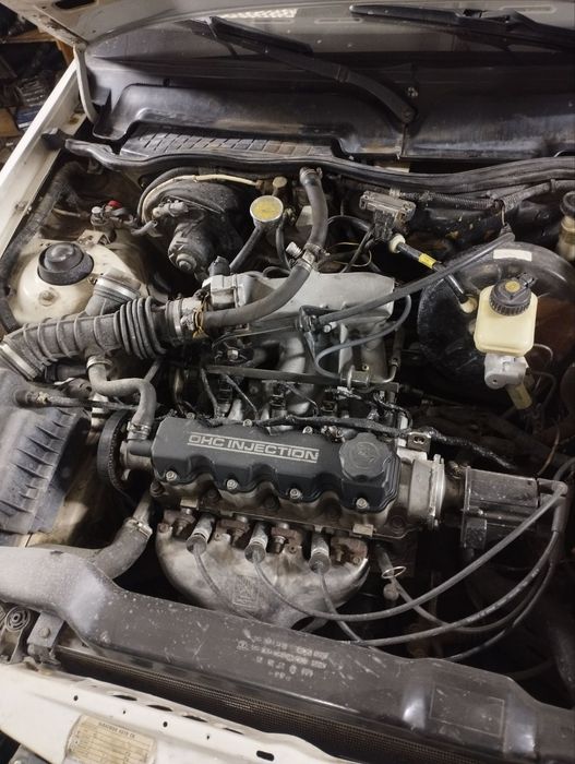 Nexia conc tramblyor