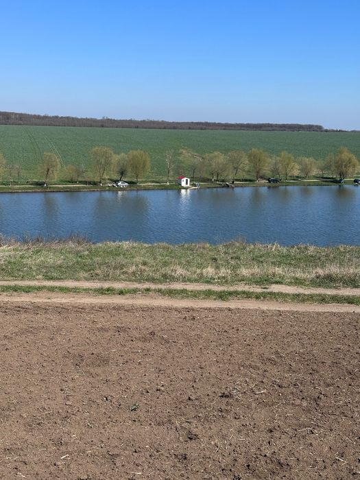 Teren  la balta Crang