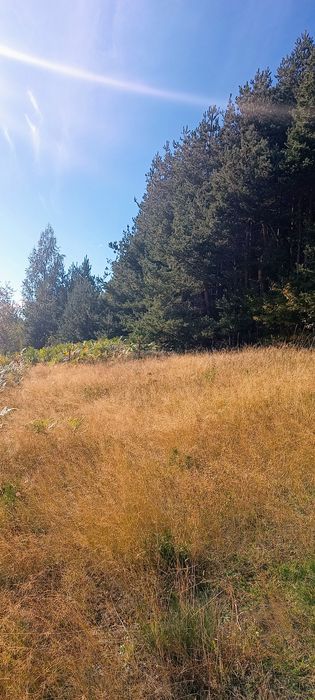 Продава се Земеделски имот в с. Сивино, Област Смолян -  кв.м за 1900 €/дка - Снимка #4