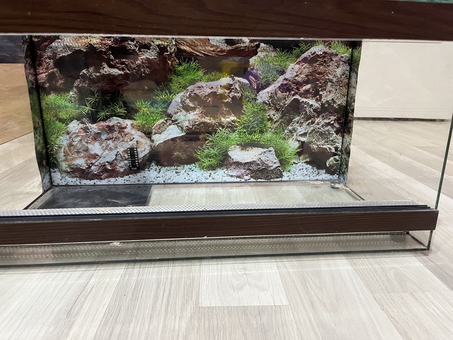 Терариум 60*30*30