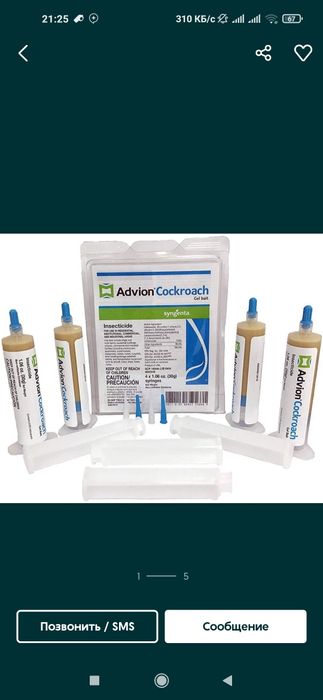 Tarakan dori geli Kalumush sichqon