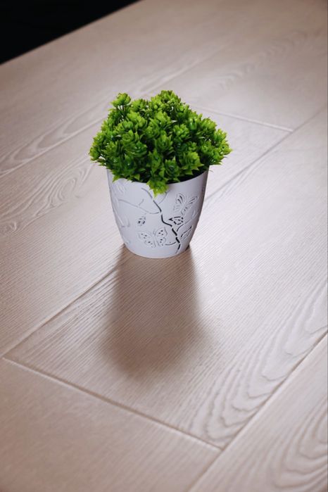Tarket laminat pol