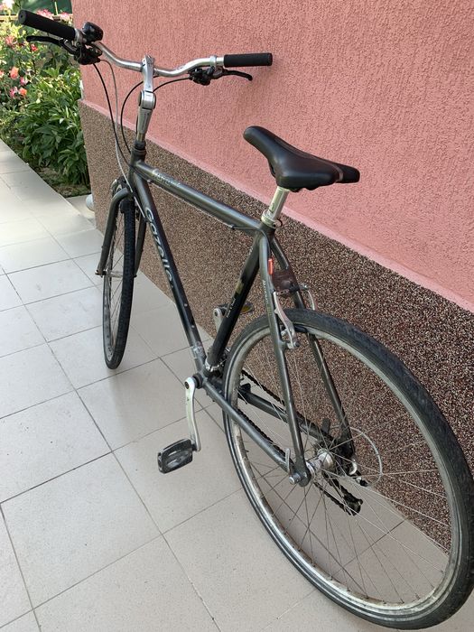 Gazzele 28 oras barbati