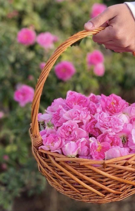 Розова вода и сладко от рози с листенца